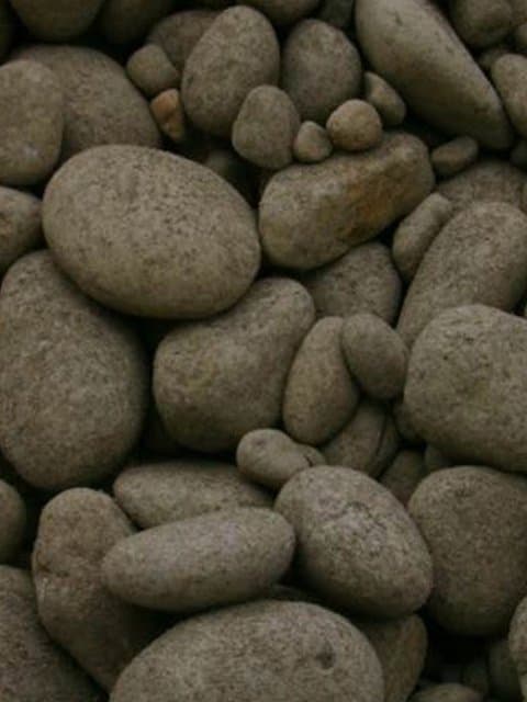 Huevillo